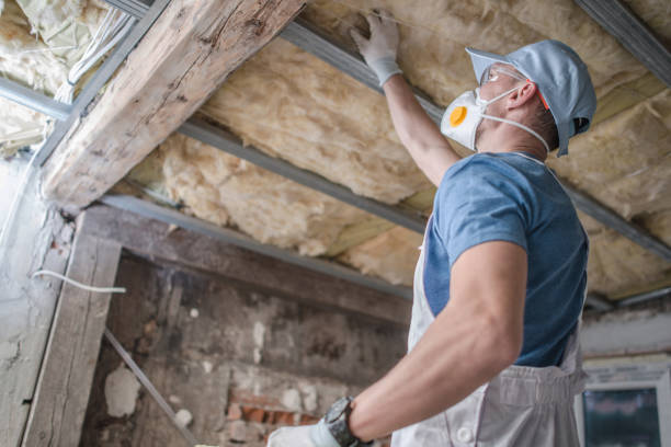 Best Attic Insulation Installation  in Alton, IL